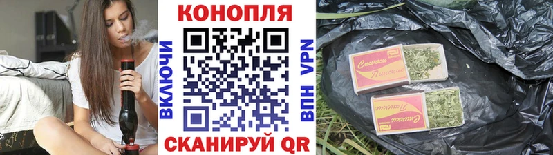 Шишки марихуана семена даркнет сайт Шарыпово